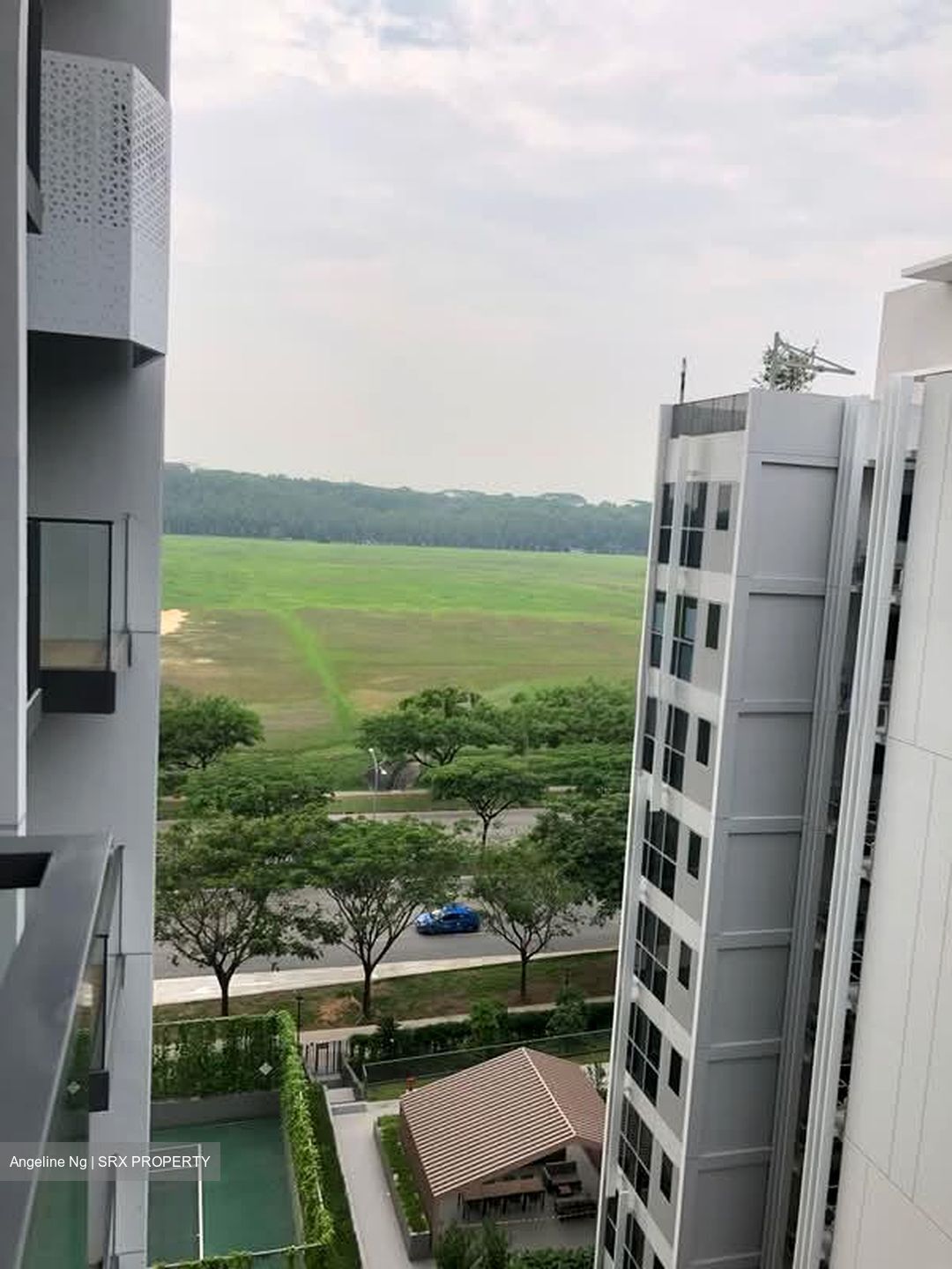 The Alps Residences (D18), Condominium #553893391